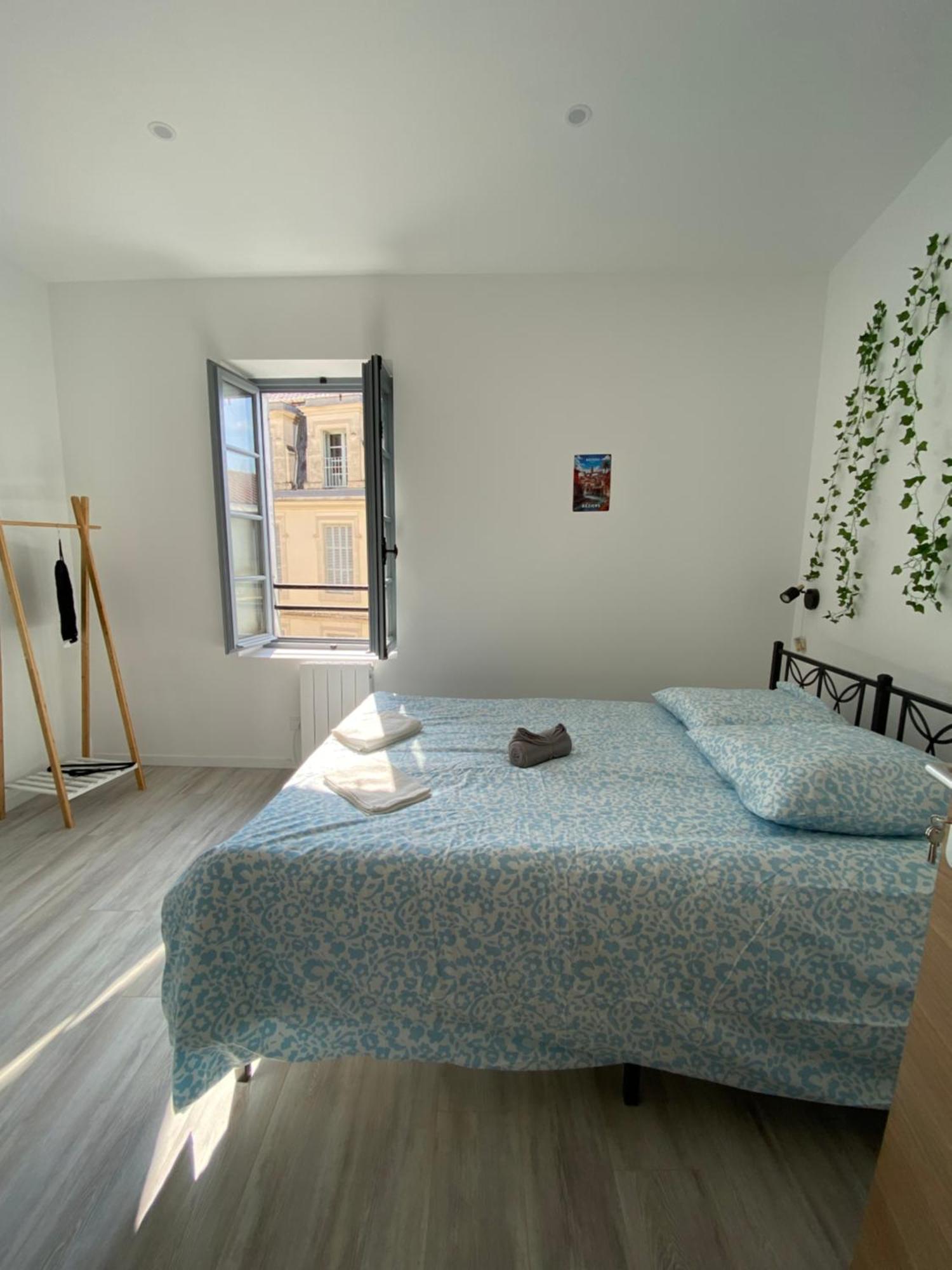 Charming Cosy In Town Centre Beziers